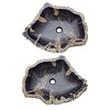 Set Waschbecken aus Versteinertes Holz