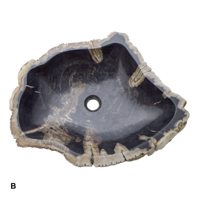 Indomarmer Set Waschbecken aus Versteinertes Holz