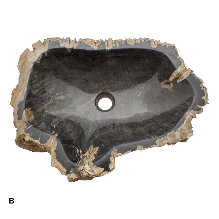 Indomarmer Set Waschbecken aus Versteinertes Holz