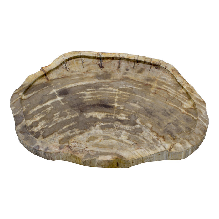 Indomarmer Schale aus Versteinertes Holz