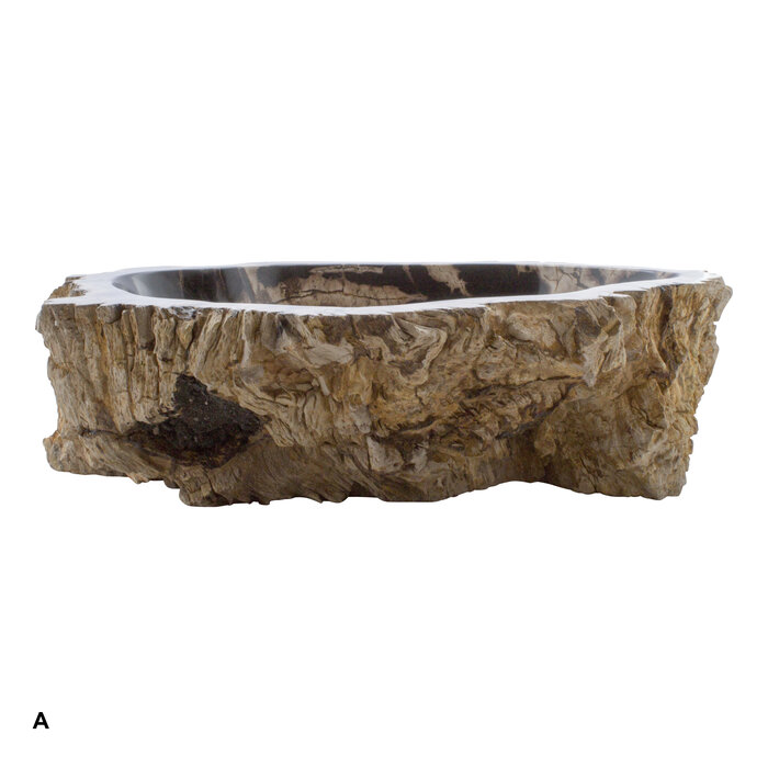 Indomarmer Set Waschbecken aus Versteinertes Holz