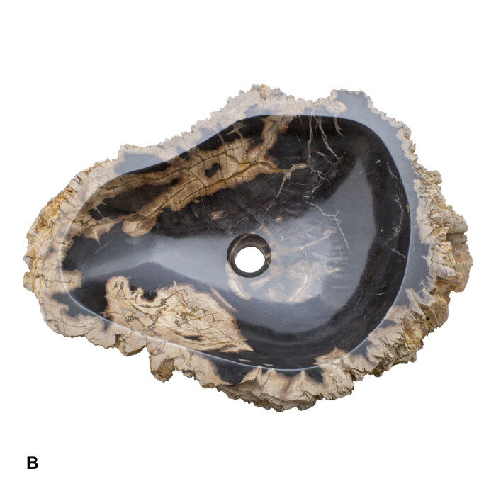 Indomarmer Set Waschbecken aus Versteinertes Holz