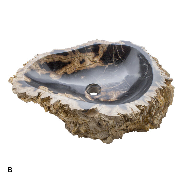 Indomarmer Set Waschbecken aus Versteinertes Holz