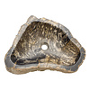 Indomarmer Washbasin of Petrified Wood 49x43x15cm