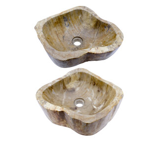 Indomarmer Polished Petrified Wood Washbasin Set