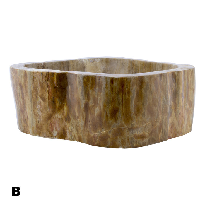 Indomarmer Polished Petrified Wood Washbasin Set