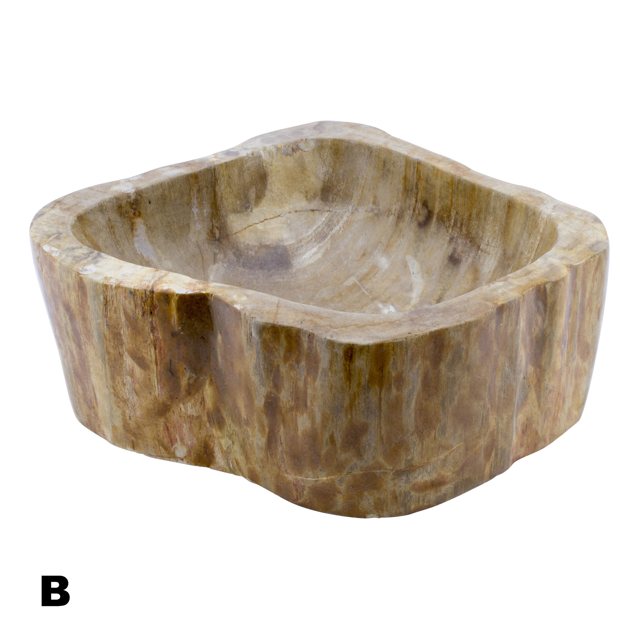 Indomarmer Polished Petrified Wood Washbasin Set