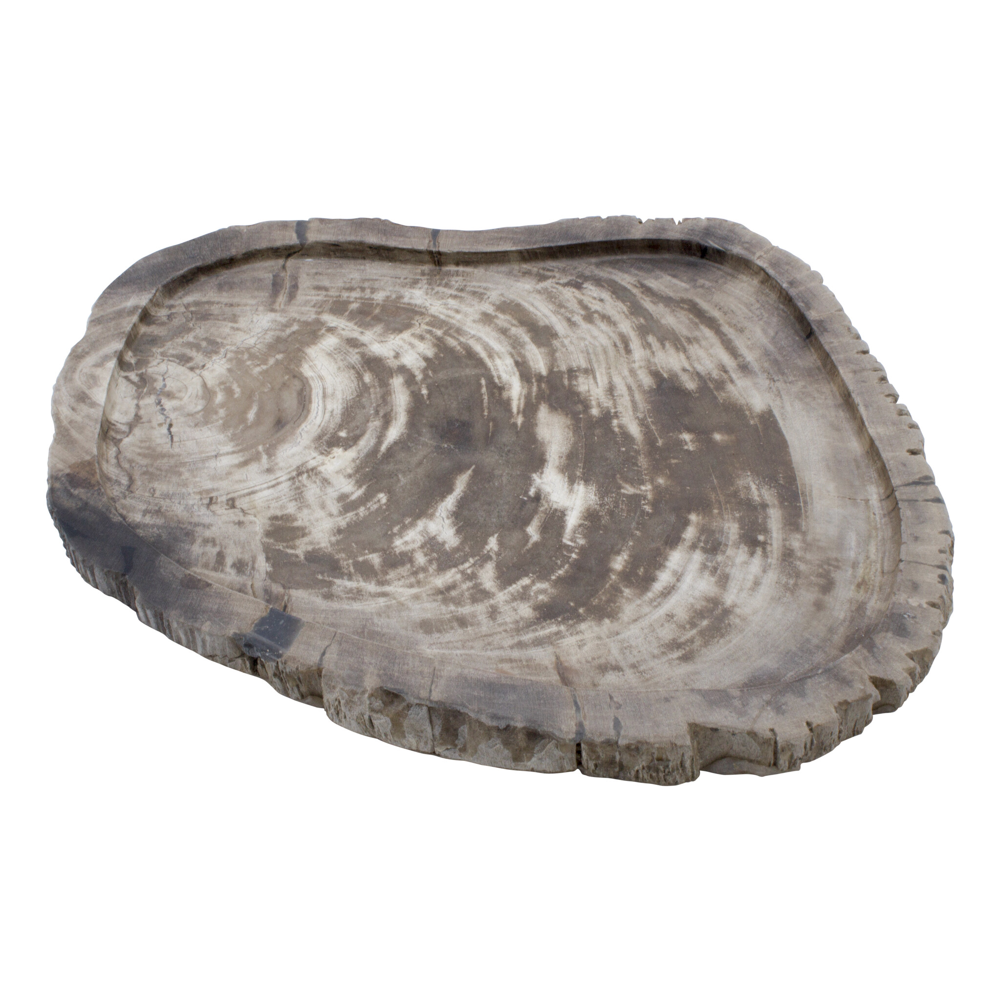 Indomarmer Petrified Wood Plate