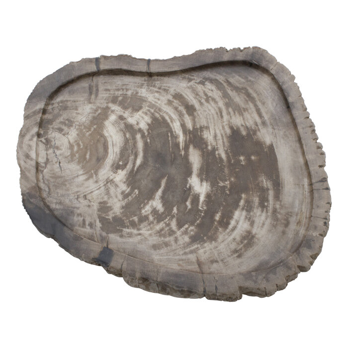 Indomarmer Petrified Wood Plate