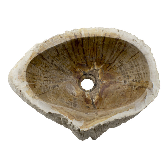 Indomarmer Set Waschbecken aus Versteinertes Holz