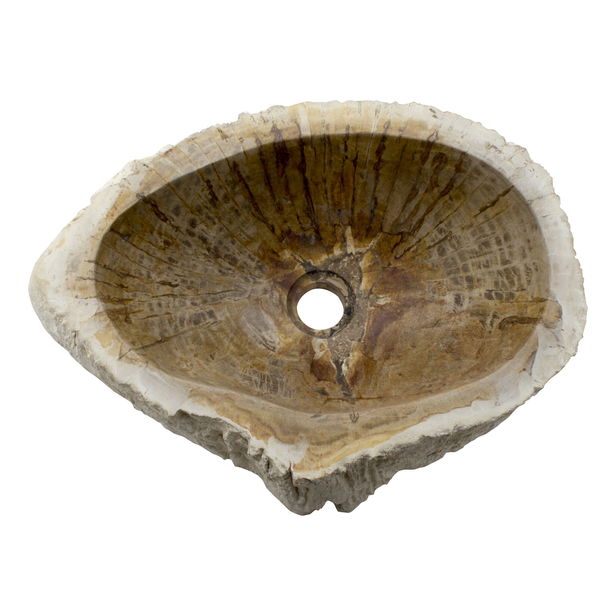 Indomarmer Set Waschbecken aus Versteinertes Holz