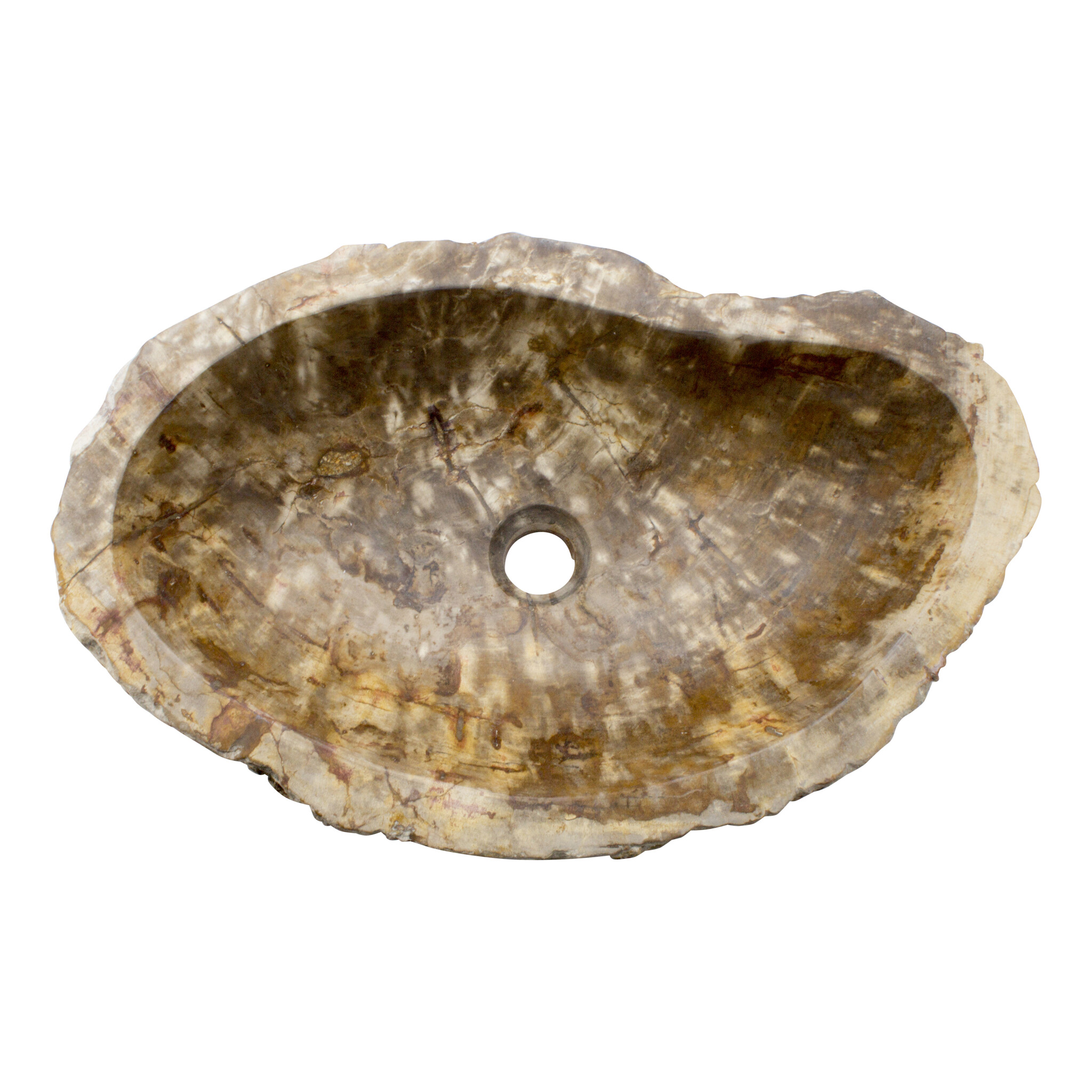 Indomarmer Washbasin of Petrified Wood 58x36x15cm