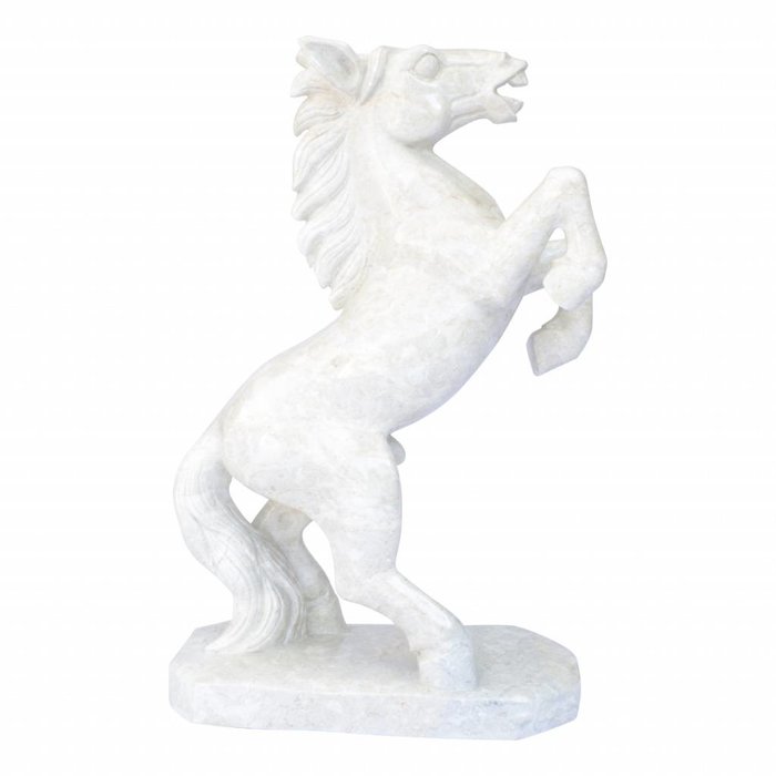Indomarmer White Horse Marmor