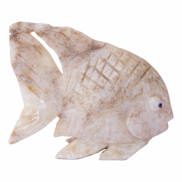 Indomarmer Fish from Onyx