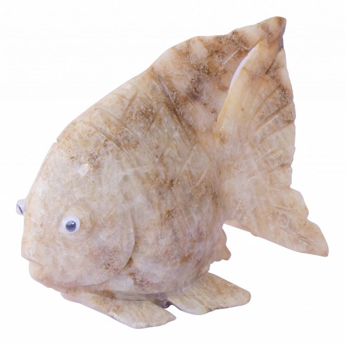 Indomarmer Fish from Onyx