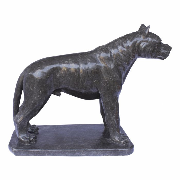 Indomarmer Black Pitbull Marble