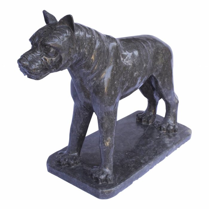 Indomarmer Black Pitbull Marble