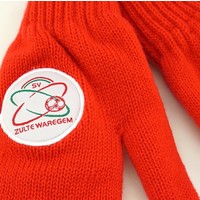 Topfanz Gants L - Zulte Waregem