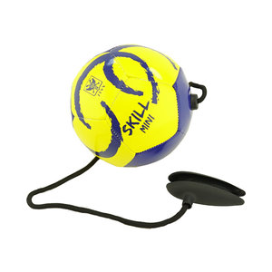 Mini Skill ball