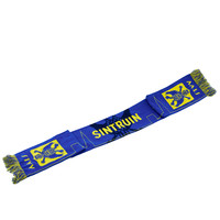 Topfanz Scarf skyline Sintruin