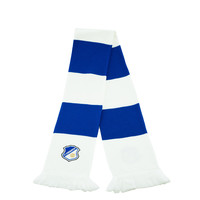 Topfanz Block scarf FC Eindhoven