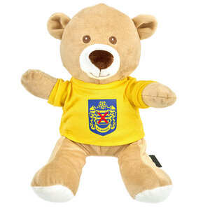 Cuddly bear SK Beveren