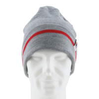 Topfanz Business beanie Grey RWDM