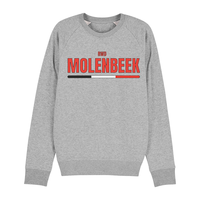 Topfanz Grey sweater ENFANT RWD Molenbeek