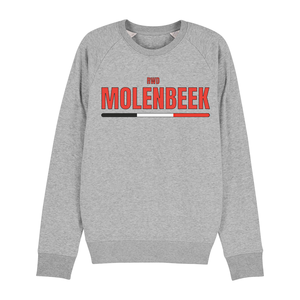 Grijze sweater KIDS RWD Molenbeek
