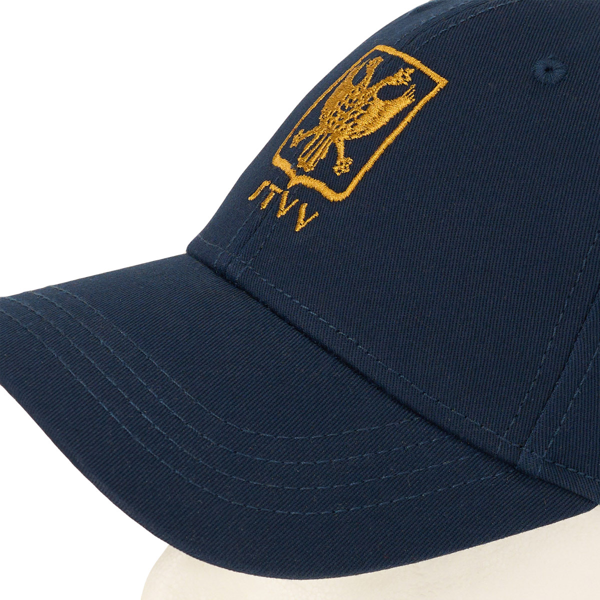 Topfanz Pet donkerblauw- goud logo- 100 jaar STVV