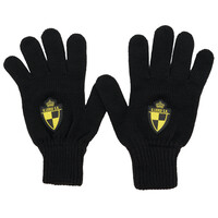 Topfanz Gants logo Lierse