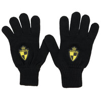Topfanz Gloves logo Lierse