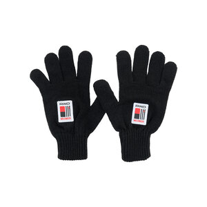 Gloves logo RWDM