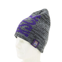 Topfanz RSCA grey beanie