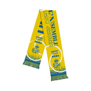 Union - scarf Champions play-off