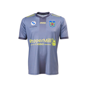 Officieel Away Shirt SK Beveren grijs 24-25