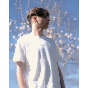 T-shirt bloesems "Haspengouw"