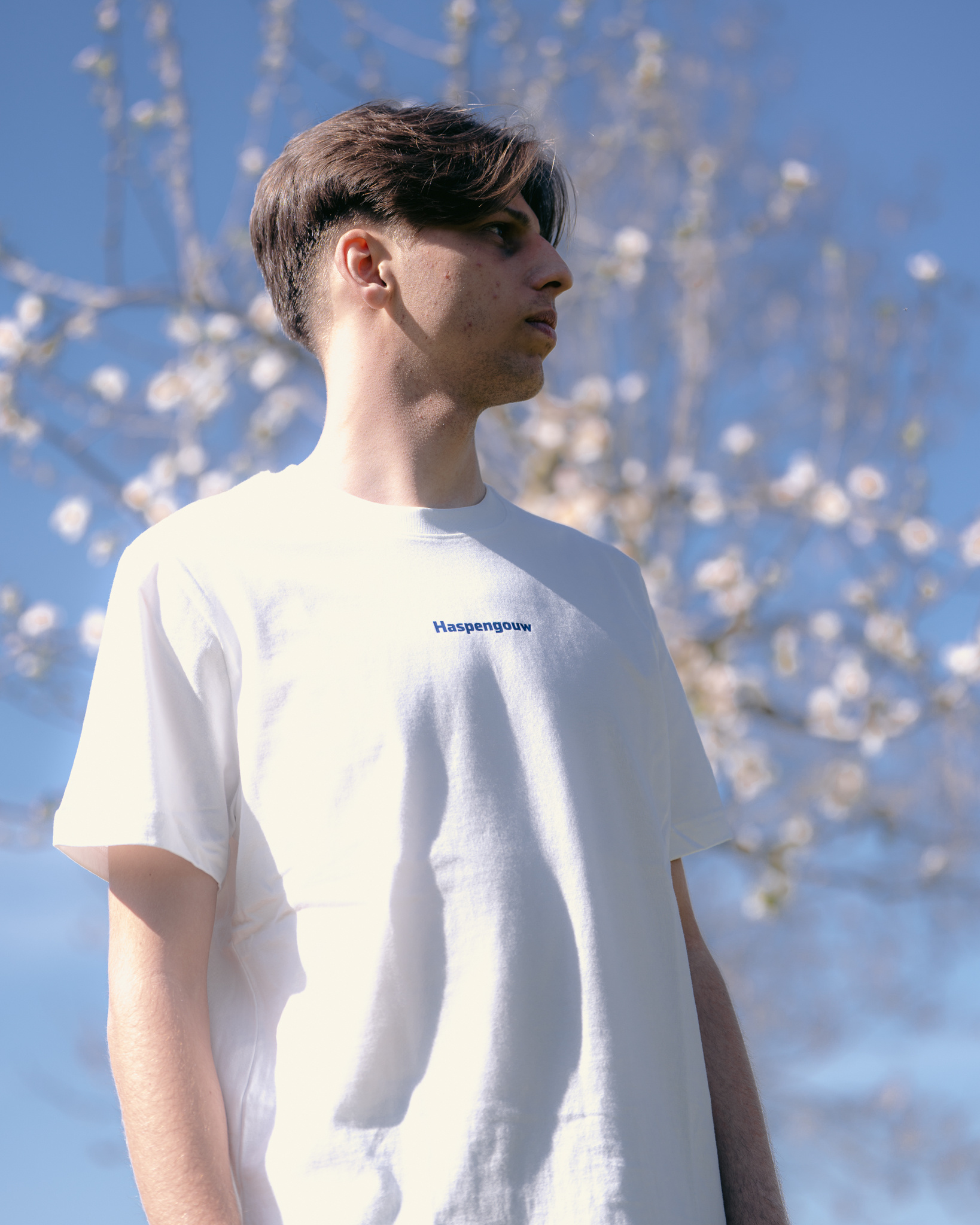 Topfanz T-shirt bloesems "Haspengouw"