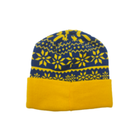 Topfanz Bonnet de Noël STVV