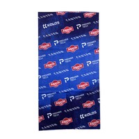 Topfanz Tour de cou Alpecin/Fenix Premier Tech 2026