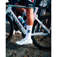 Zwift Aerosocks I Alpecin-Premier Tech 2026 Topfanz Zwift Aerosocks I Alpecin-Premier Tech 2026