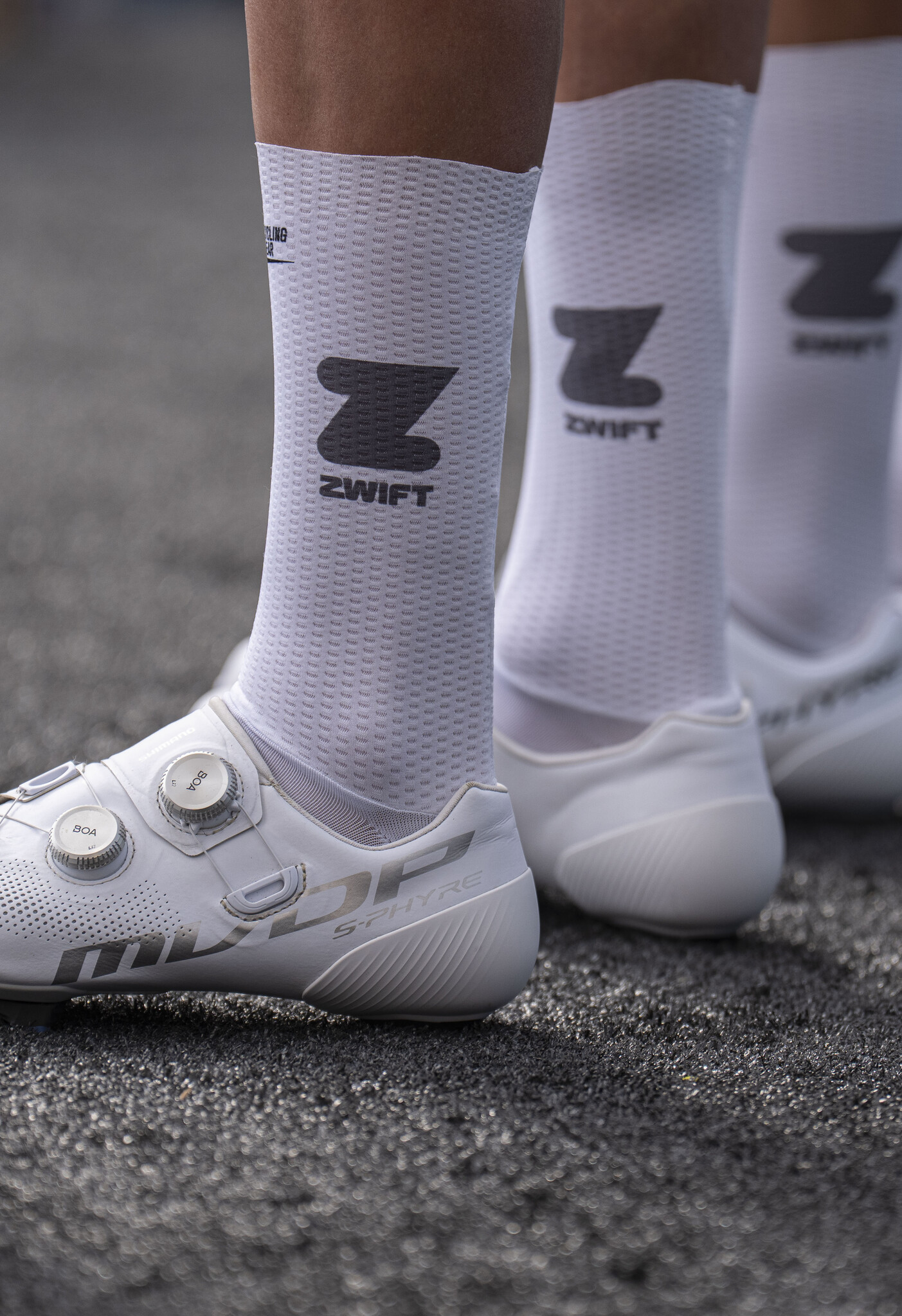 Zwift Aerosocks I Alpecin-Premier Tech 2026 Topfanz Zwift Aerosocks I Alpecin-Premier Tech 2026