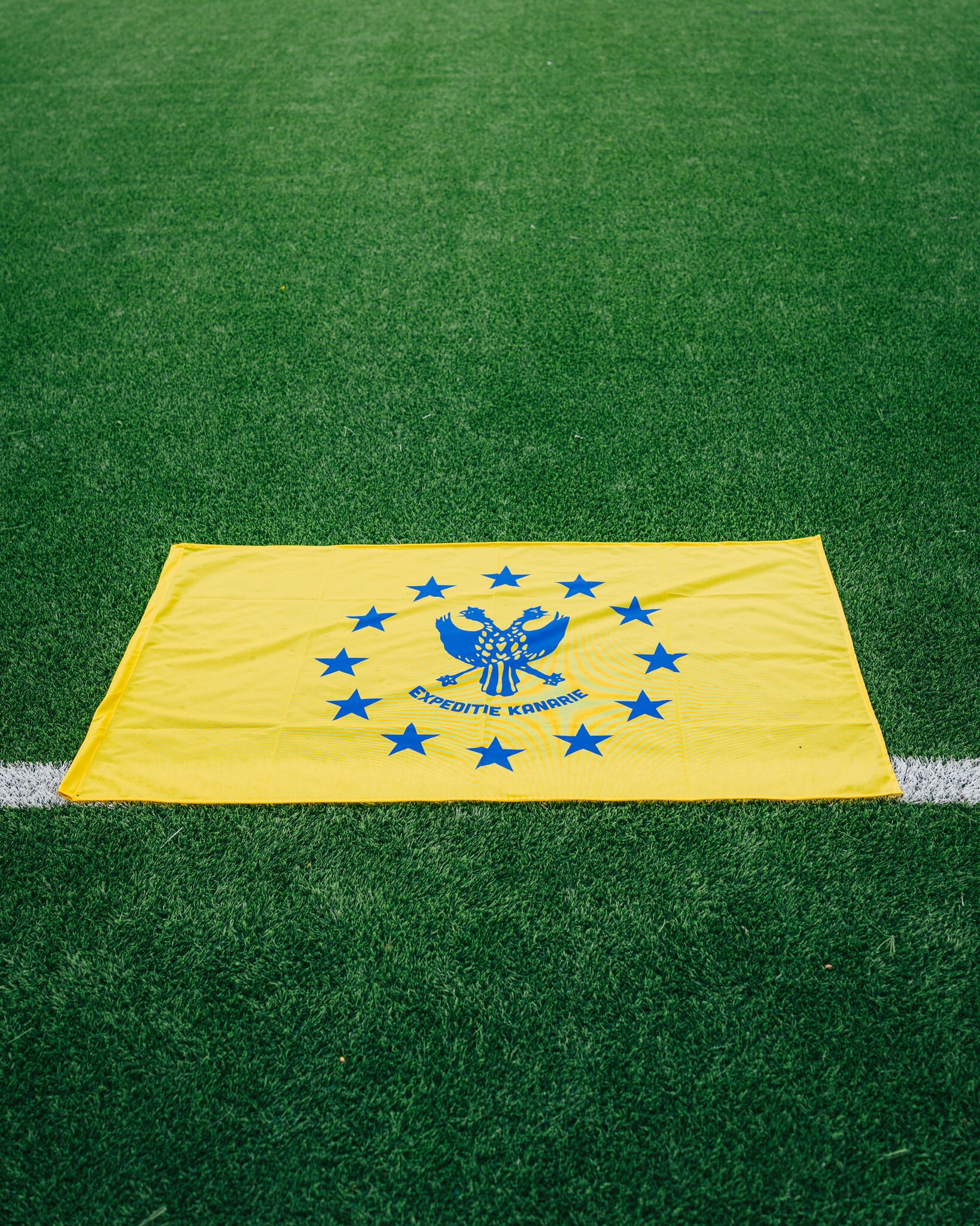 Topfanz Europe flag "You'll never fly alone" - STVV