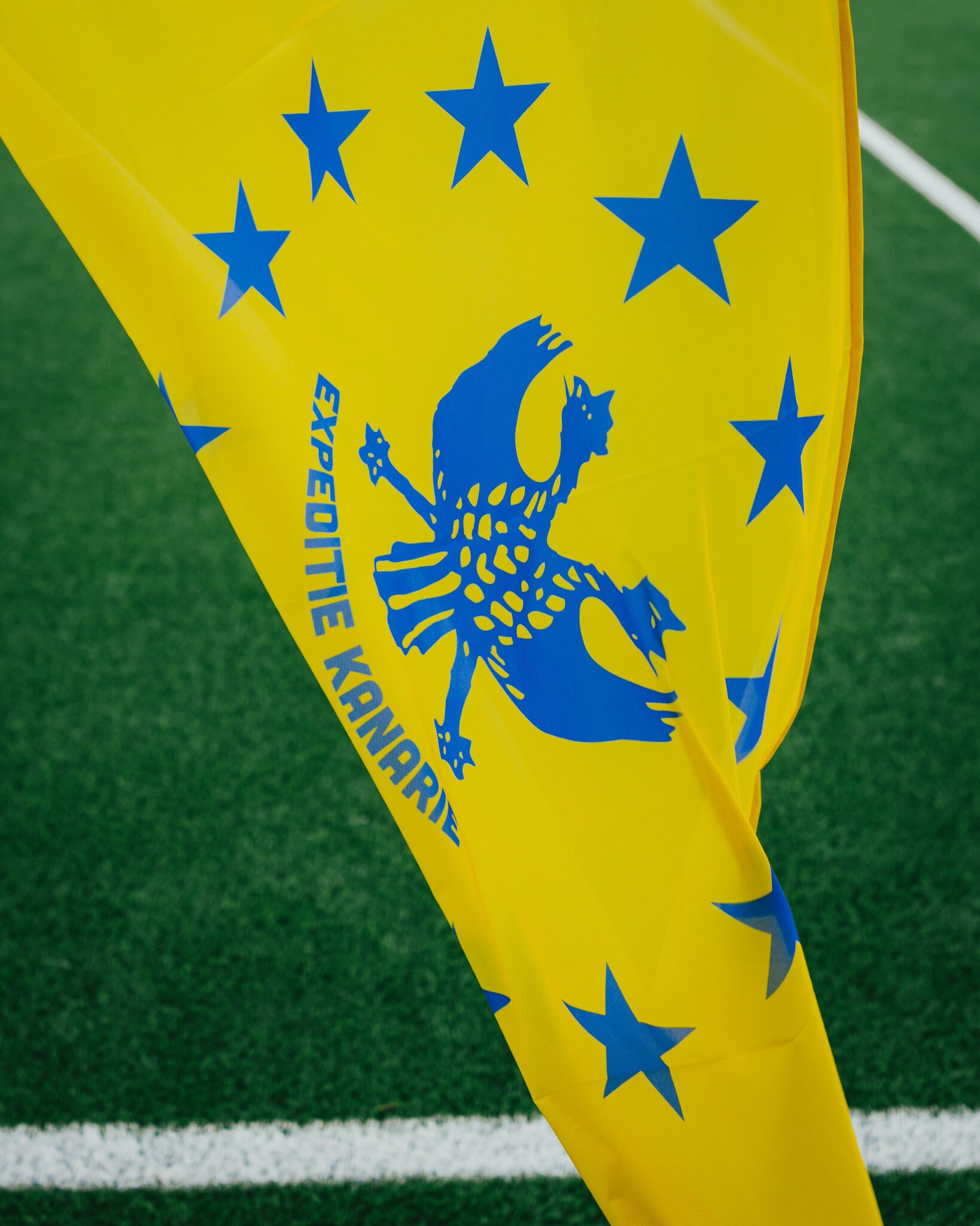 Topfanz Europe flag "You'll never fly alone" - STVV