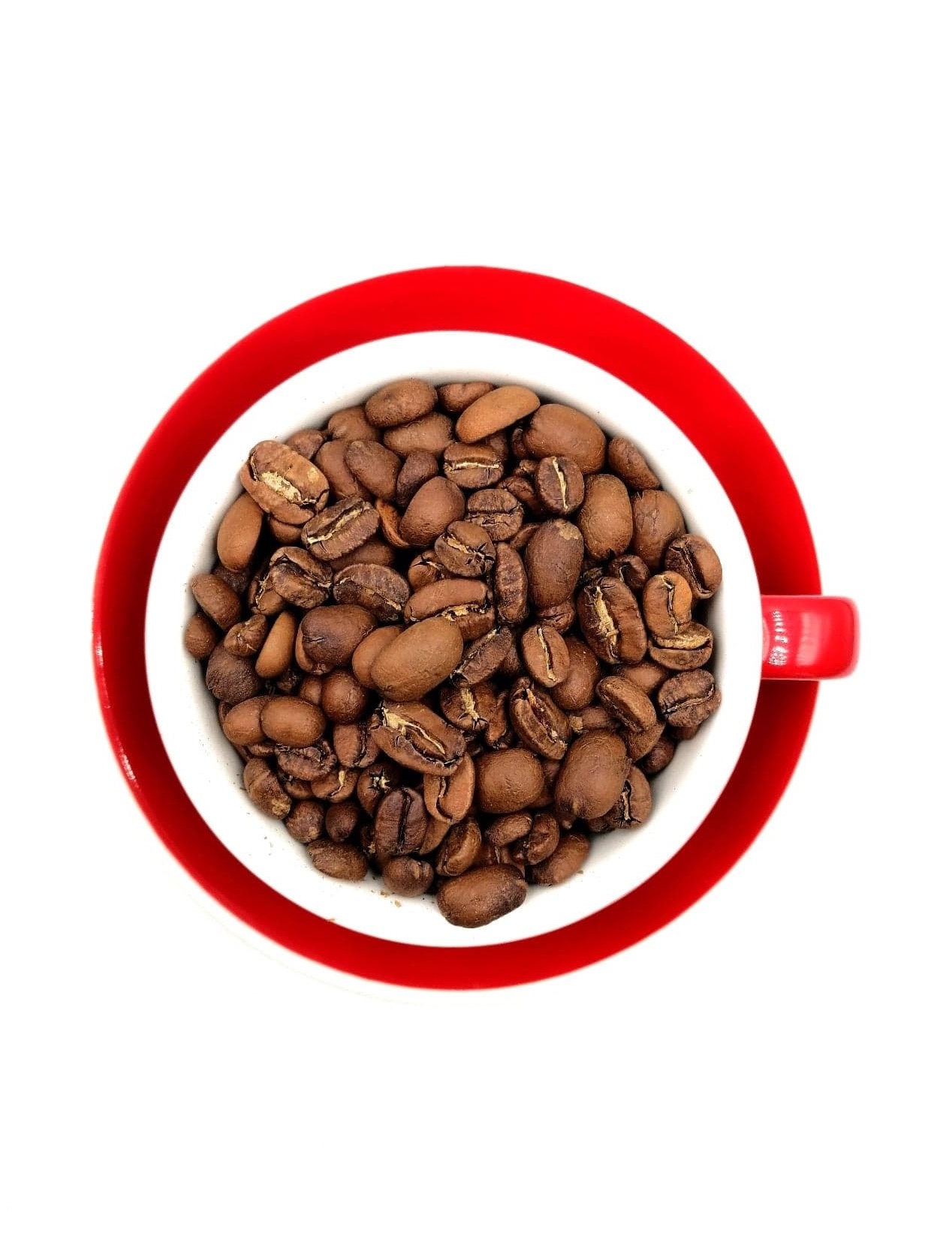 Onvergetelijk Robijn voorkomen Streekproduct Java Mokka - Koffiebonen - Koffiebranderij Van Ouytsel
