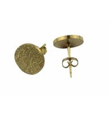 Oorknopjes Stainless Steel Sanded Gold Studs