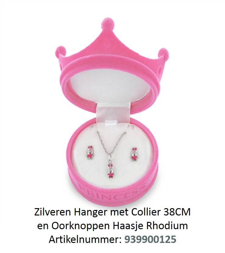 New Bling Zilveren Ketting & Oorbellen setje HAASJE - Princess