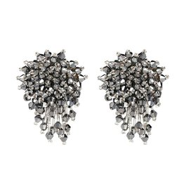 Oorbellen | Bunch of Shiny Beads | Silver