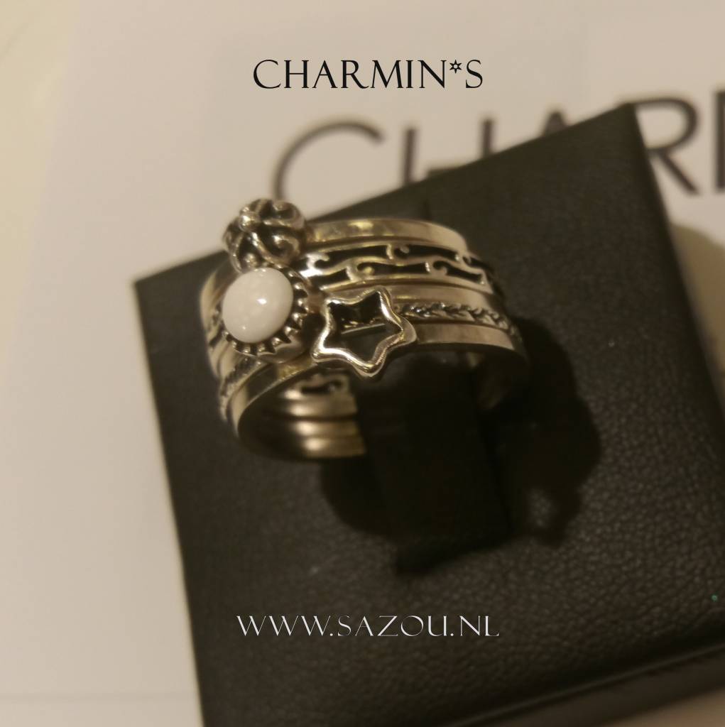 Charmin's Zilveren Ringen set van 5