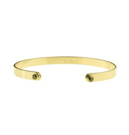 Armband | Open Bangle | Melanie | Steel | Gold